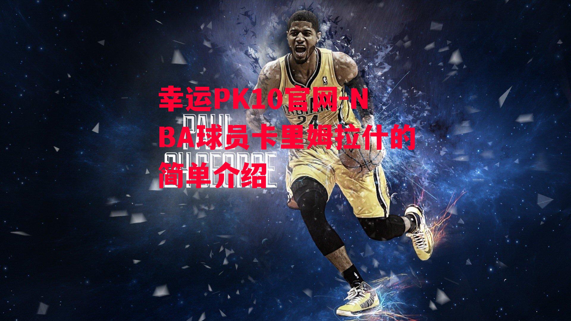 NBA球员卡里姆拉什的简单介绍